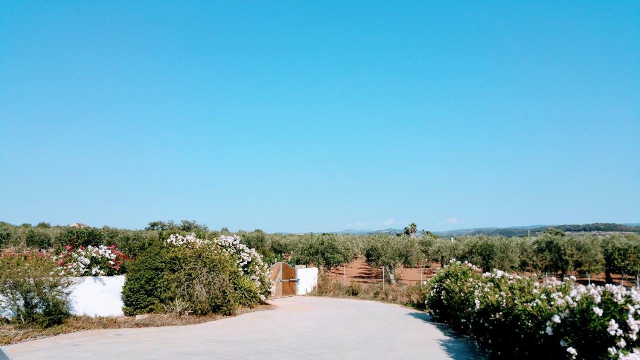 Villa Rafael Con Piscina, Iun P4098 Alghero Exterior foto